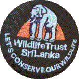 Image Wildlife Trust Logo