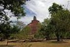 Image: Anuradhapura