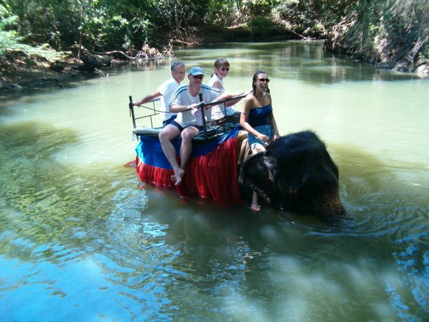 Image: Getting wet on elephant