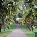 Peradeniya Botanical Gardens, Kandy