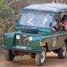 Safari Jeep, Yala